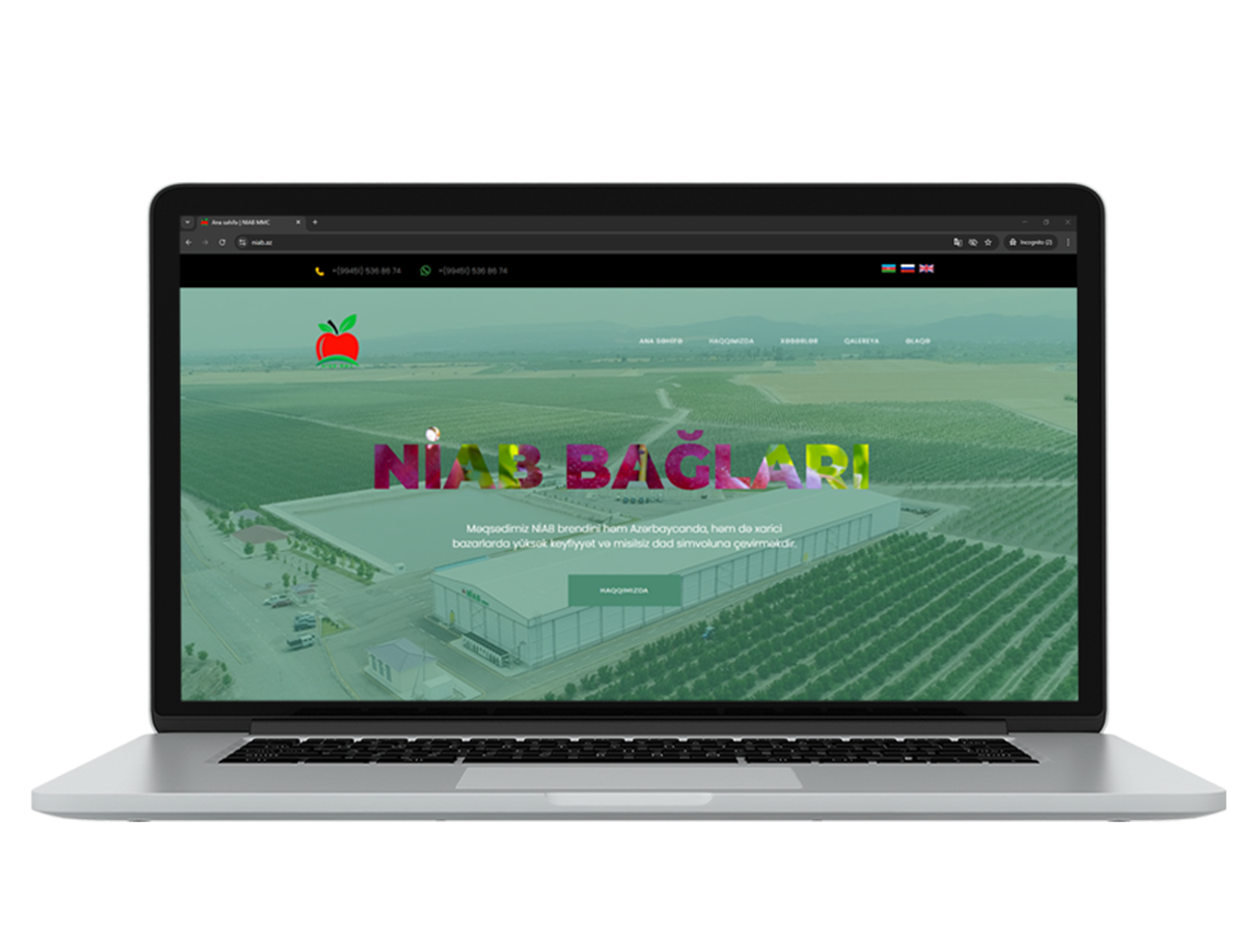 Niab üçün hazırladığımız veb sayt
